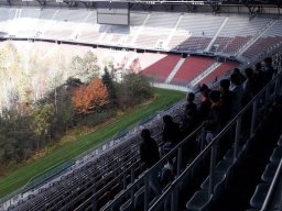 For Forest