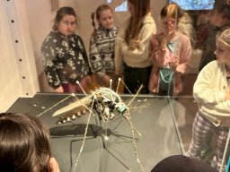 Landesmuseum-2024