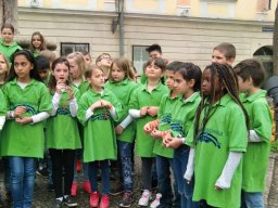 Maisingen-2017