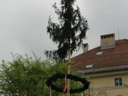 Maisingen-2017