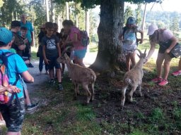 Tierpark Rosegg