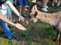 Tierpark Rosegg