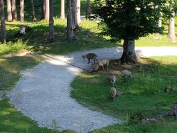 Tierpark Rosegg